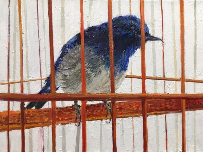Adele Grodstein: Artist Spotlight Adele Grodstein: Artist Spotlight